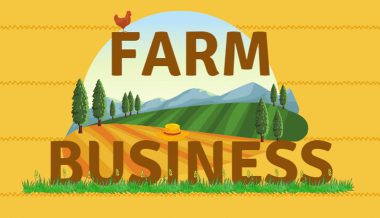 Farm Business 37