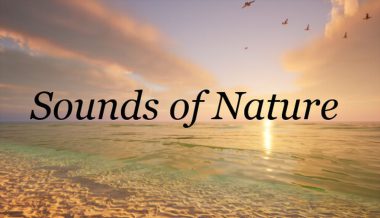 Sounds of Nature 37