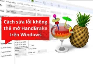 lỗi không thể mở HandBrake trên Windows daominhha.net