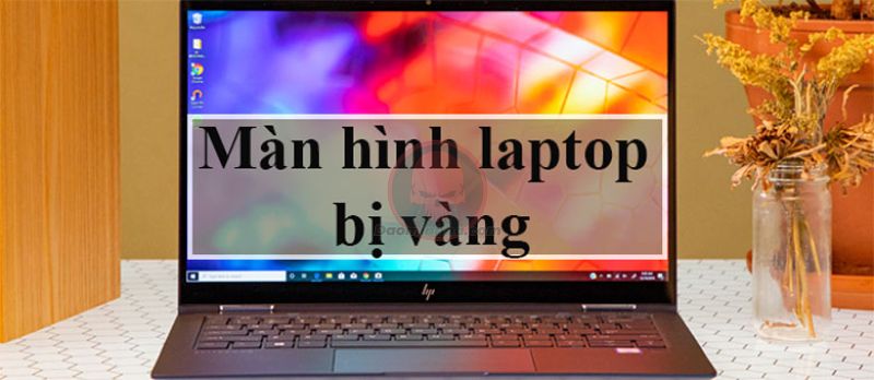 lỗi màn hình laptop Windows bị vàng daominhha.net